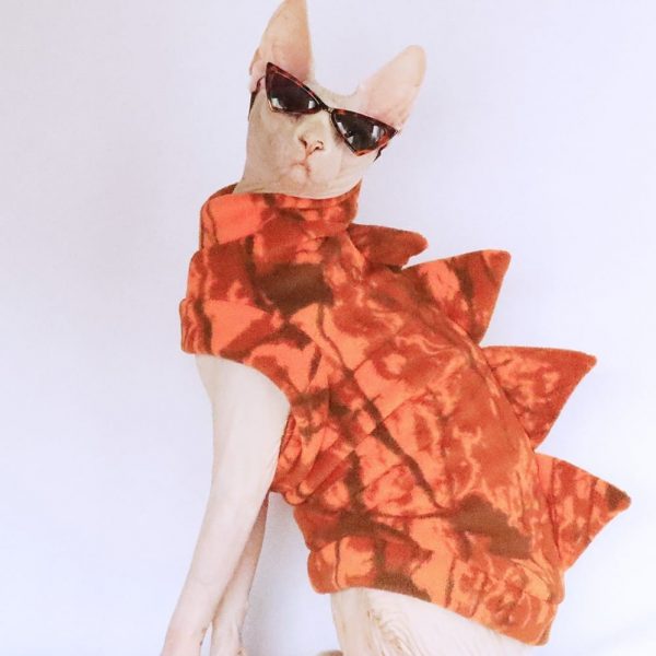 Cat Costume for Cats-Sphynx wears orange dinosaur costume