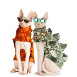 Katzenkostüm für Katzen | Orange und grüne Dinosaurierkostüme für Katzen