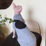 Cat Sweatshirt for Cats-Back