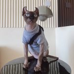 Cat Sweatshirt for Cats-Sphynx wear hoodie