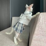 JK Dress for Sphynx | JK Dress for Cat, Sphynx Dress, Cat JK Dress