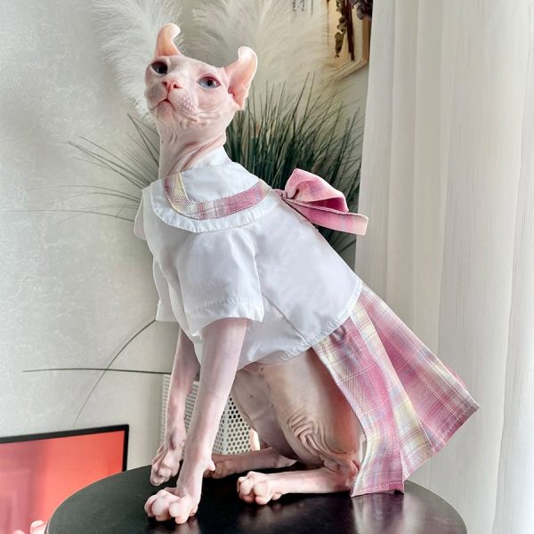 Cat in A Dress-Sphynx wears pink jk dress.