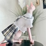 JK Dress for Sphynx | JK Dress for Cat, Sphynx Dress, Cat JK Dress