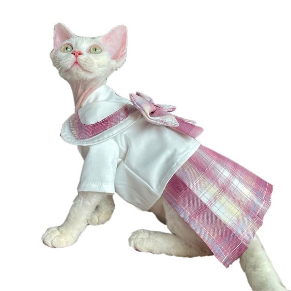 Cat in A Dress-Devon Rex wears pink jk dress.