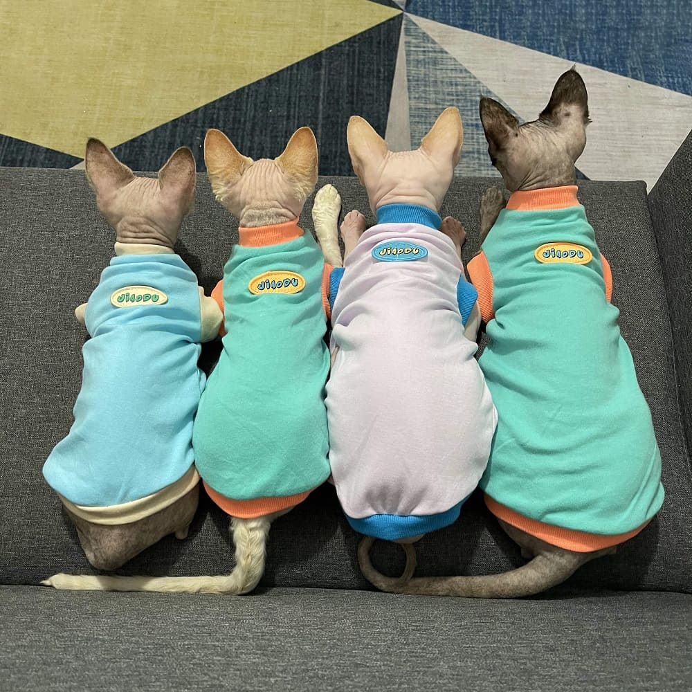 Cat in Clothes-Four cats wear shirts