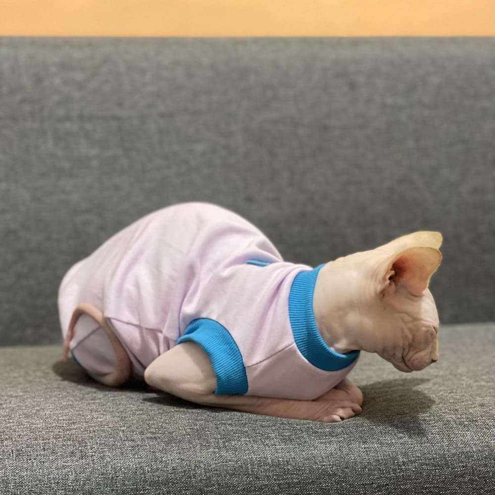 Cat in Clothes-Light purple