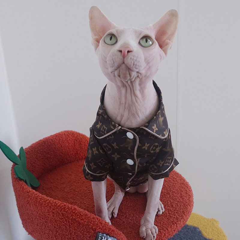 Clothing for Sphynx Cats-Sphynx wears lv pajamas