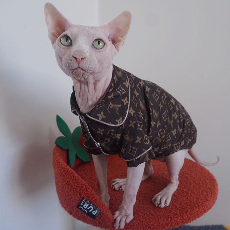 Clothing for Sphynx Cats-Sphynx wears lv pajamas