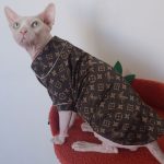 Clothing for Sphynx Cats-Sphynx wears lv pajamas