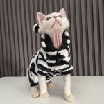 Costumes for Kittens-Devon Rex wears zebra onesie