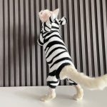Kostüme für Kätzchen - Devon Rex trägt einen Zebra-Strampler
