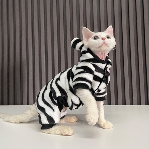 Costumes for Kittens-Devon Rex wears zebra onesie