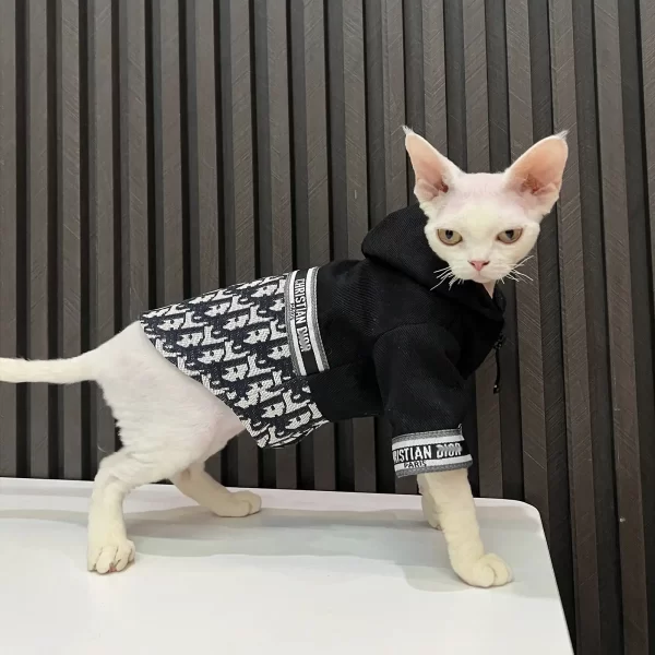 Super Cute Funny Sphynx Cat in Hoodie · Creative Fabrica