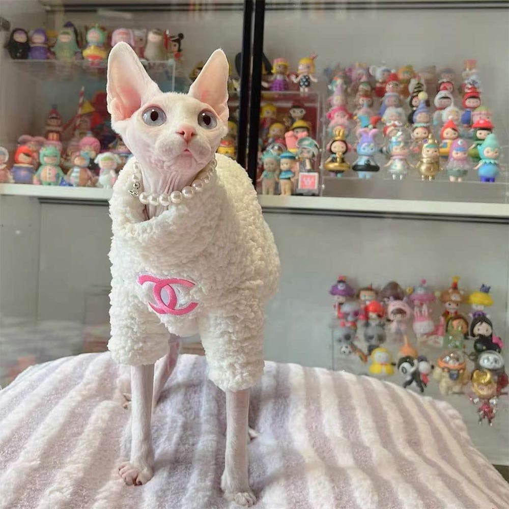 Winter Cat Sweater-Sphynx wears white coat