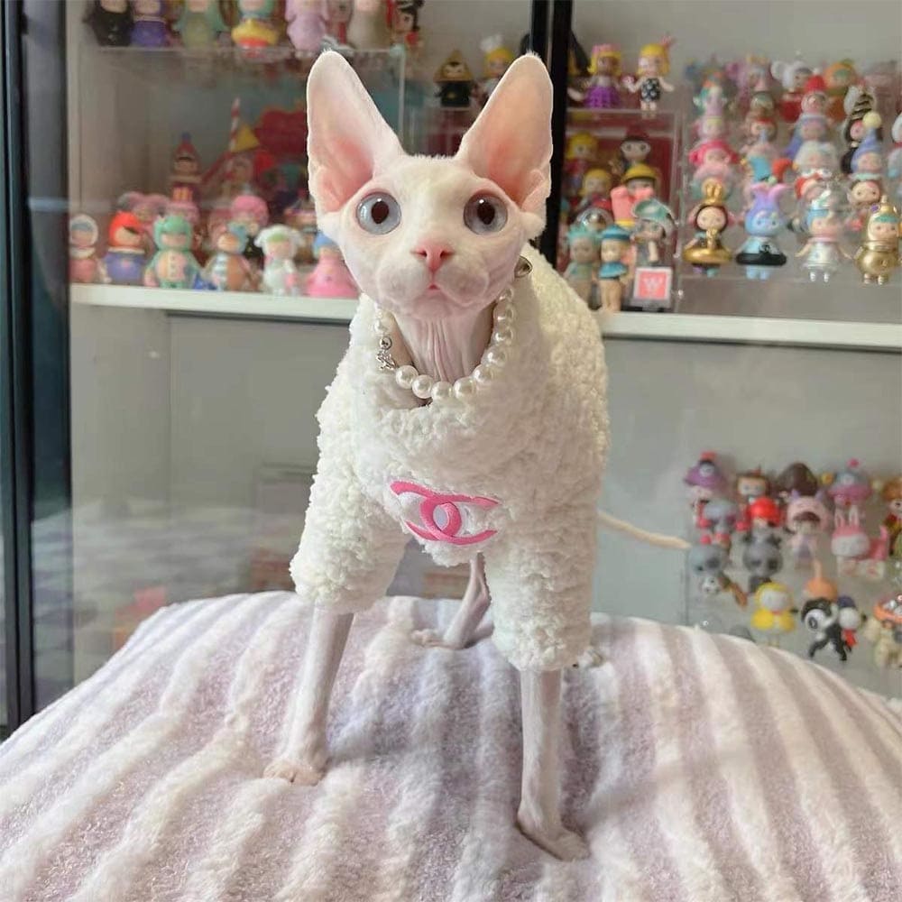 Winter Cat Sweater-Sphynx wears white coat