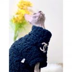 Winter Cat Sweater-Sphynx wears black coat