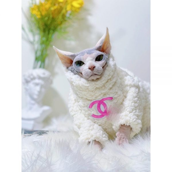Winter Cat Sweater-Sphynx wears white coat