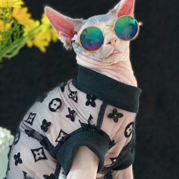 Designer Clothes for Cats-Sphynx wears LV shirt