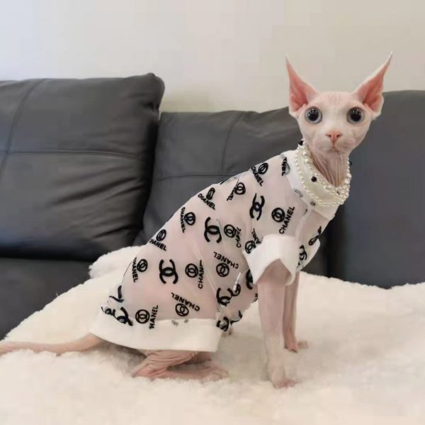 Designer Clothes for Cats-Sphynx wears chanel shirt