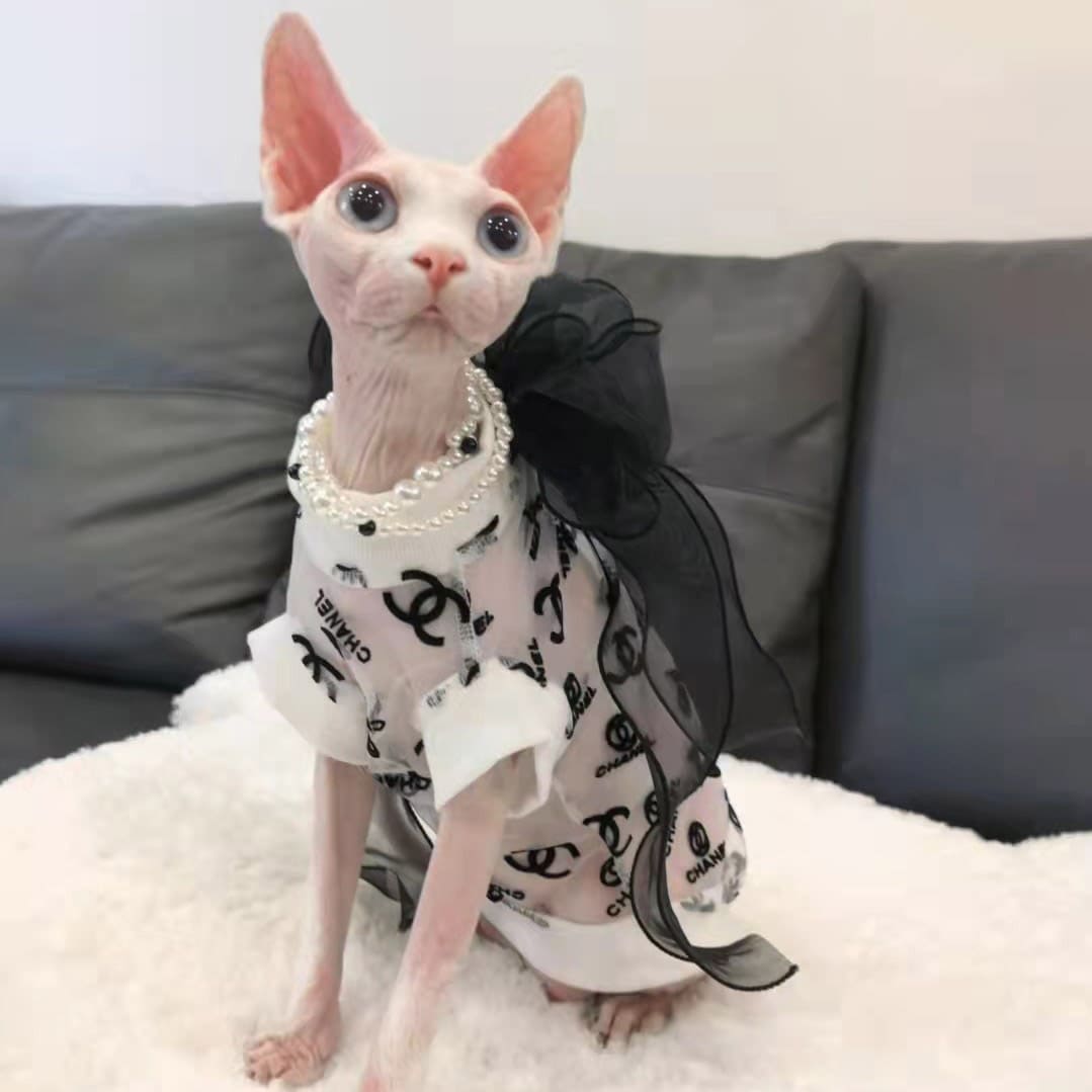 Designer Clothes for Cats-Sphynx wears chanel shirt