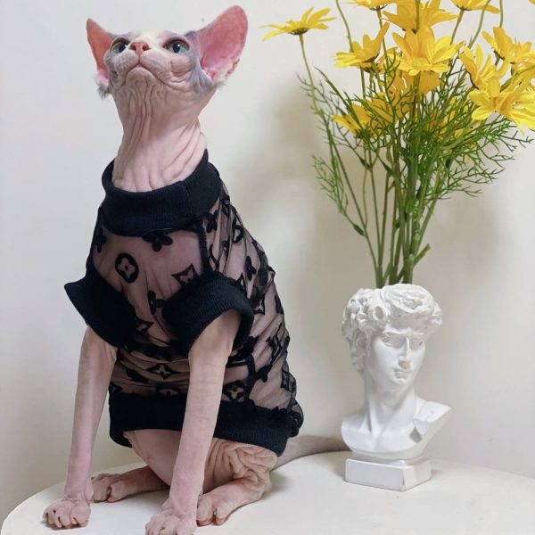 Designer Clothes for Cats-Sphynx wears LV shirt