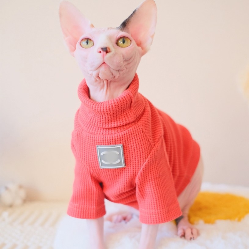 siamese cat sweater