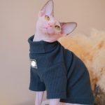 Hairless Cat Sweater-Dark green