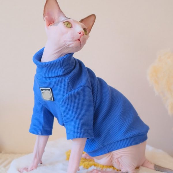 Hairless Cat Sweater-Blue