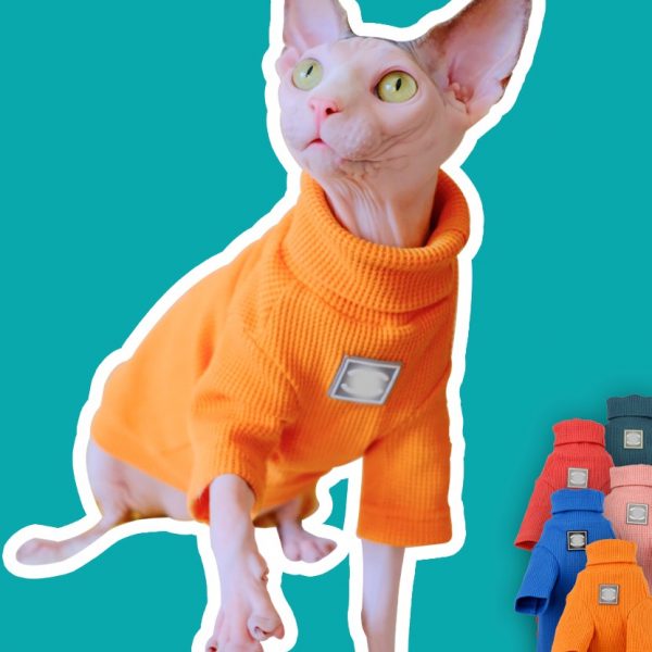 Hairless Cat Sweater-Orange