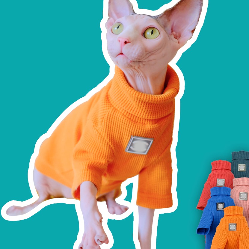 orange cat sweater