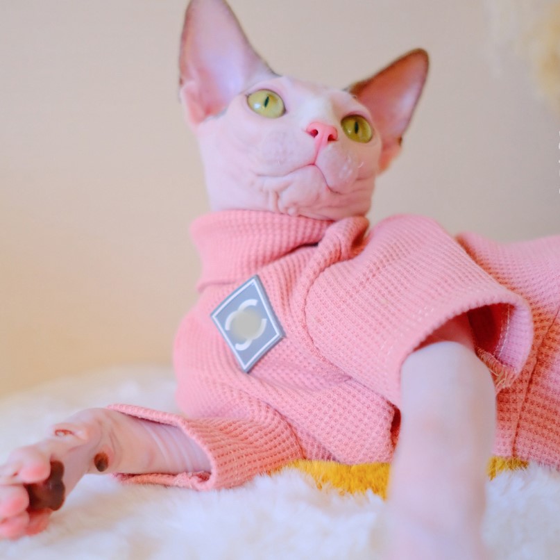 ヘアレスキャットセーター-ピンク