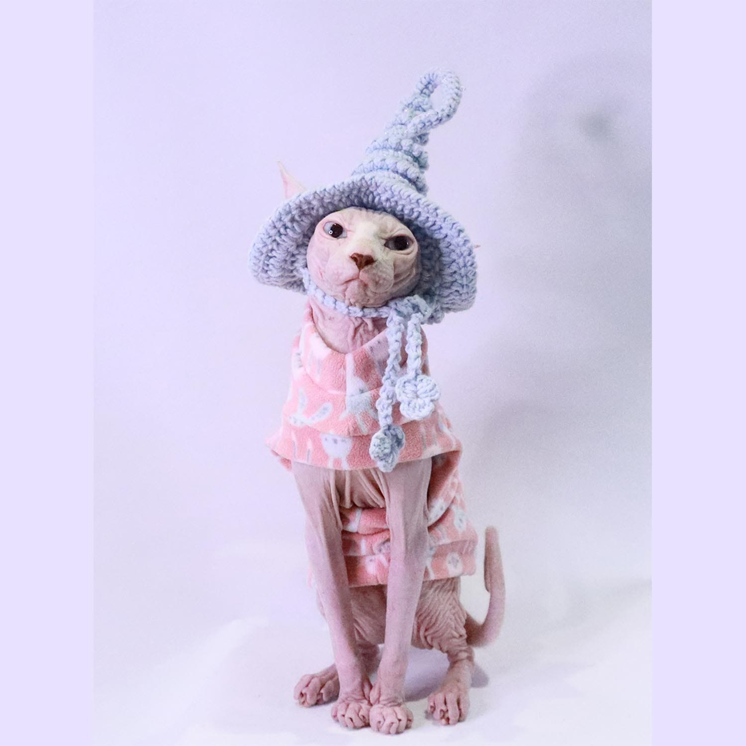 Hairless Cats in Clothes-Sphynx wear pink bunny