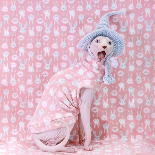 Chats sans poils habillés-Sphynx porte un lapin rose