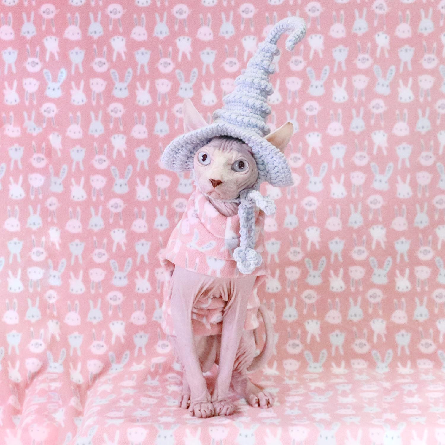 Hairless Cats in Clothes-Sphynx wear pink bunny
