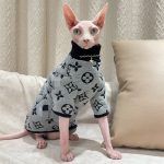 Дизайнерский свитер для кошек | LV Свитер для сфинкса, дизайнерский свитер