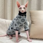 Designer Cat Sweater | LV Sweater for Sphynx, Designer Sweater