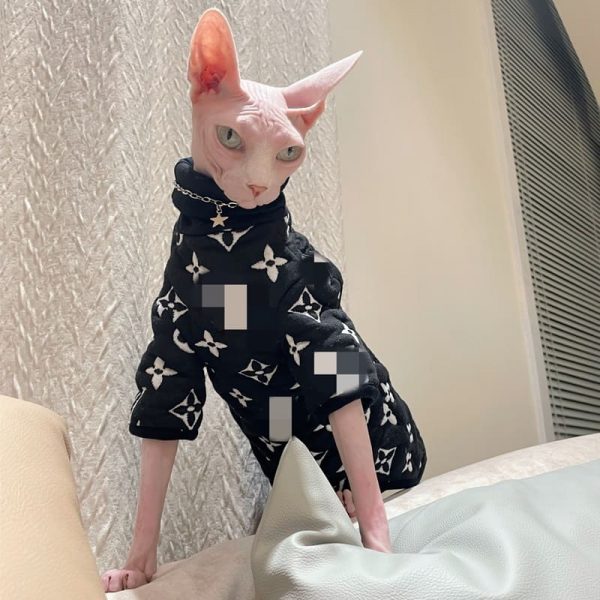Hairless Cats with Sweaters-Sphynx wear black sweater