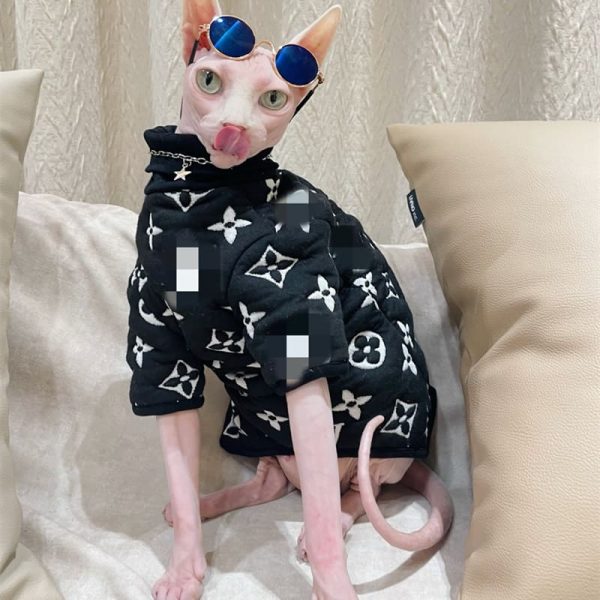 Hairless Cats with Sweaters-Sphynx wear black sweater