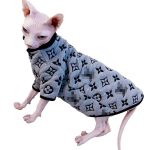 Hairless Cats with Sweaters-Sphynx wear grey sweater