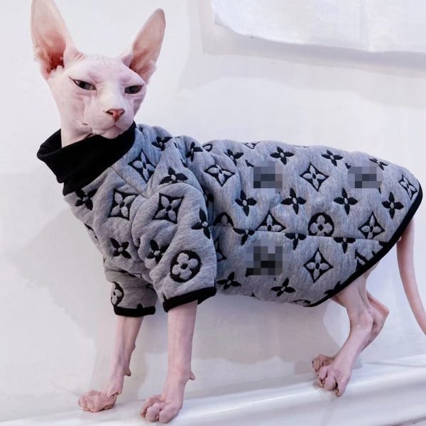 Hairless Cats with Sweaters-Sphynx wear grey sweater