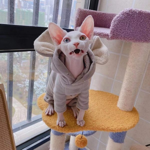 Hoodie for Cat DIY-Sphynx wears hoodie