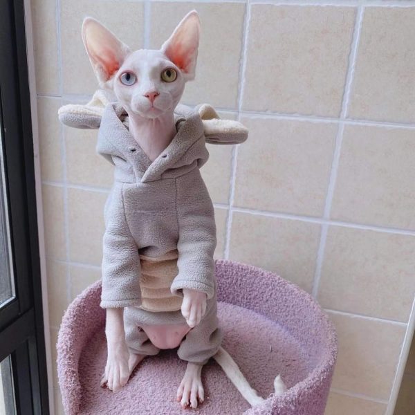 Sudadera con capucha para gato DIY-Sphynx lleva sudadera con capucha