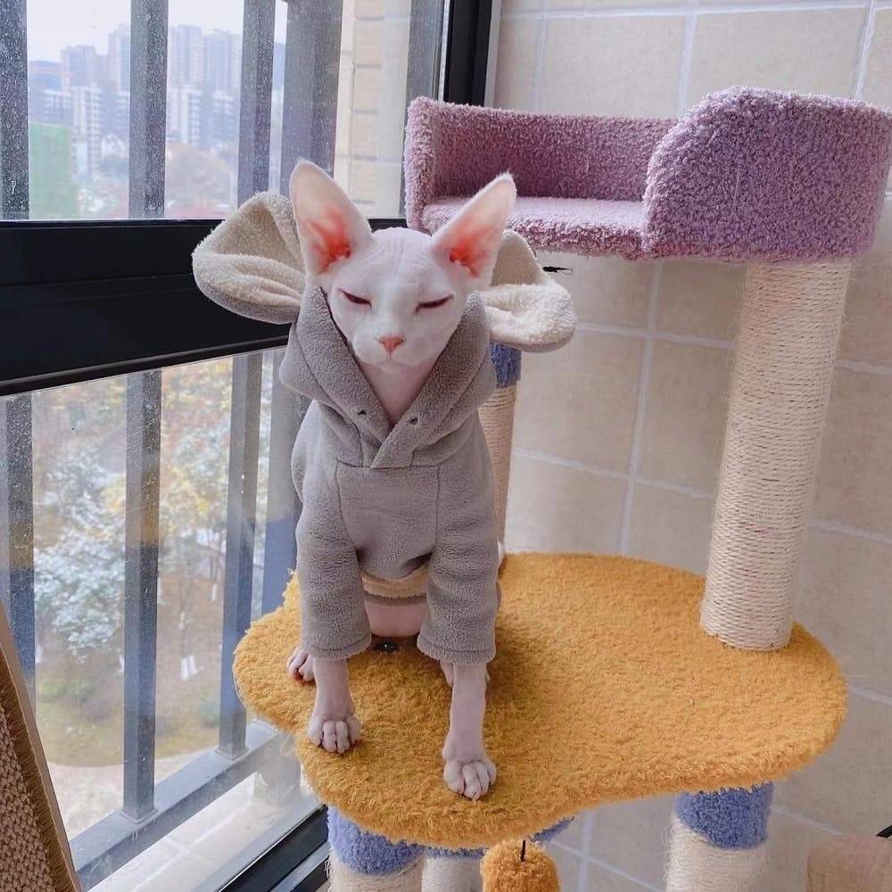 Hoodie for Cat DIY-Sphynx wears hoodie