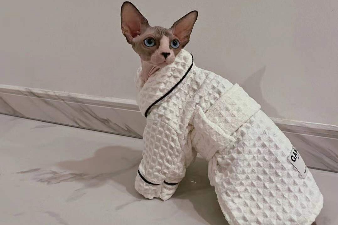 How to bathe a Sphynx kitten or a hairless cat YESWARMG