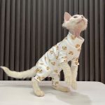 Abbigliamento per gatti-Devon Rex indossa una tutina