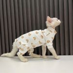 Outfit for Cats-Devon Rex wears onesie