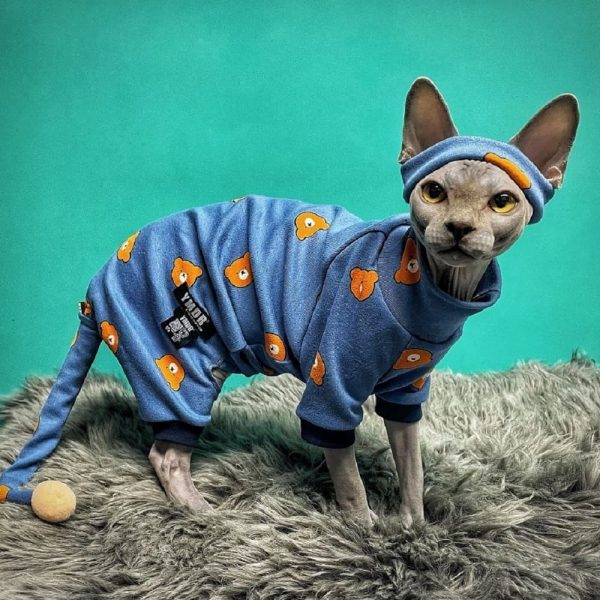 Outfits for Kittens-Sphynx wears blue set