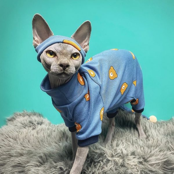 Outfits for Kittens-Sphynx wears blue set