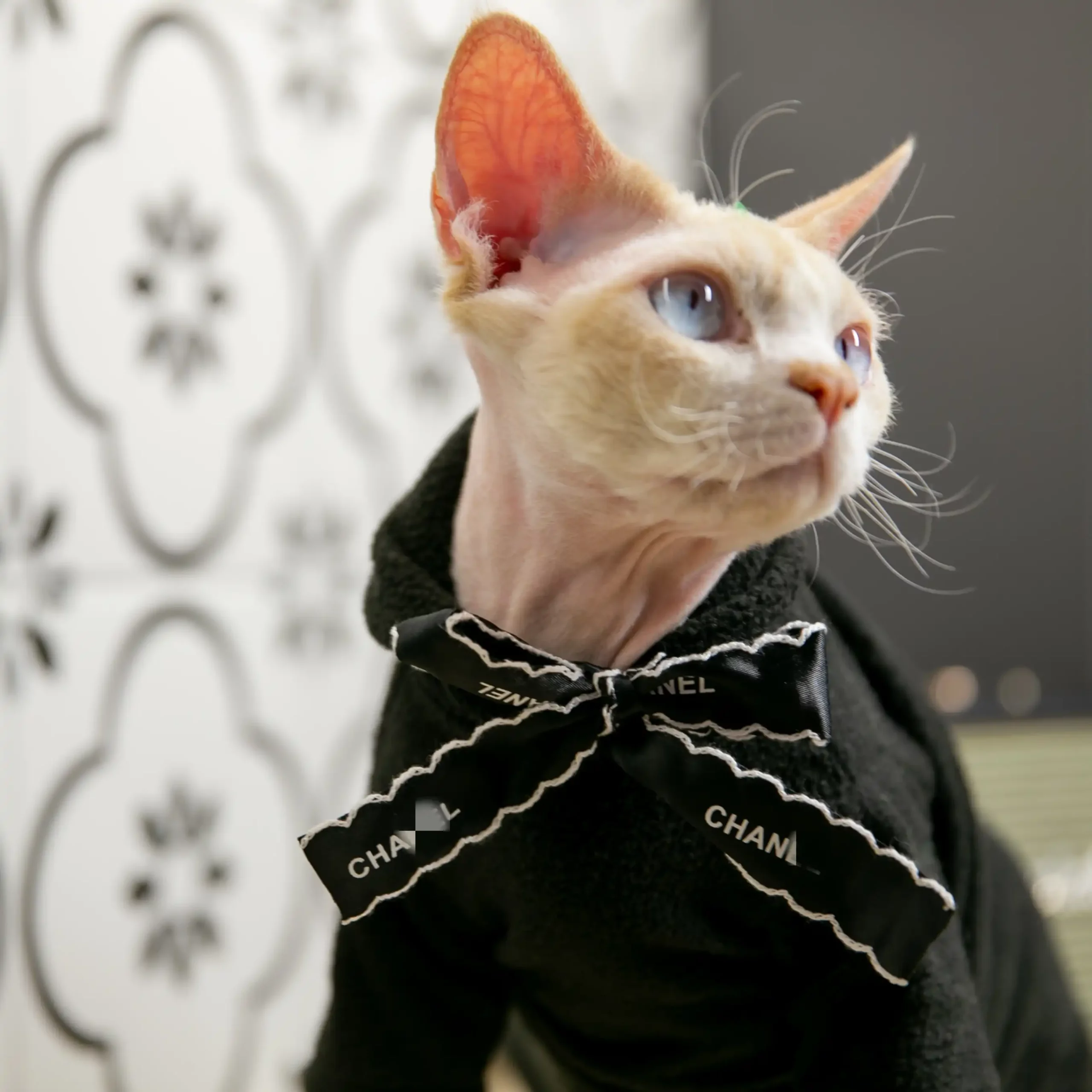 Hairless Cat Sweater  Sphynx Cat Clothes Turtle Neck, Sweaters