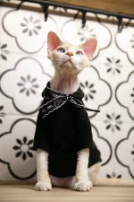 Simple Chanel Sweaters for Cats - Black